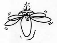 midge23_s