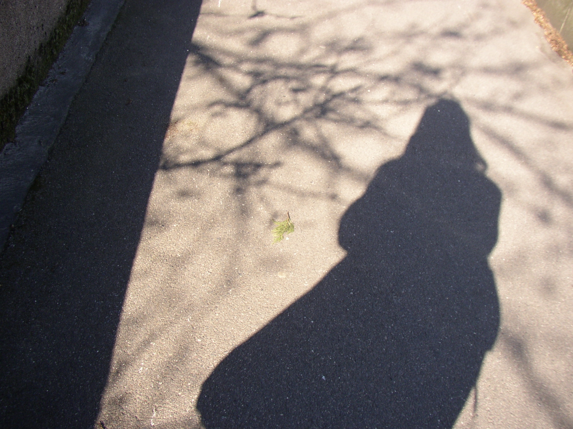 schattenspiele